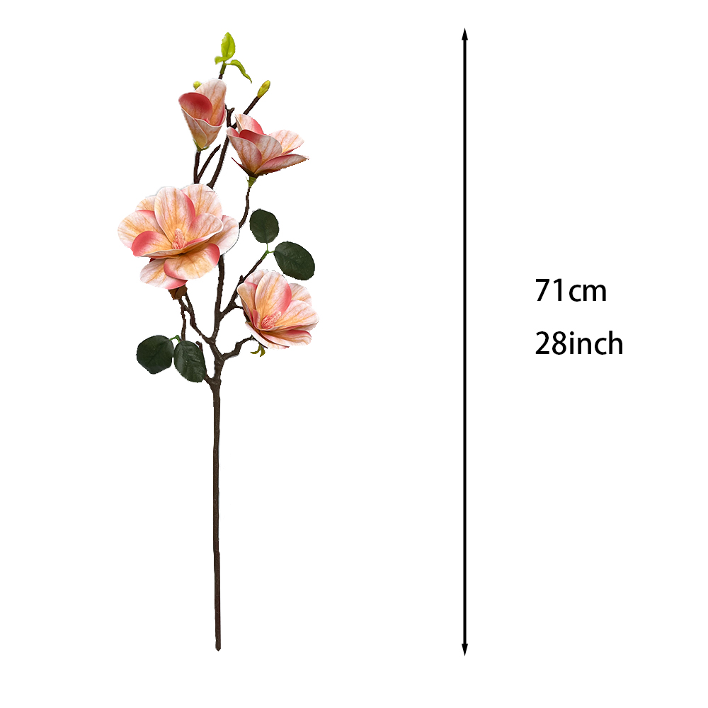 Simulation 4 Magnolia