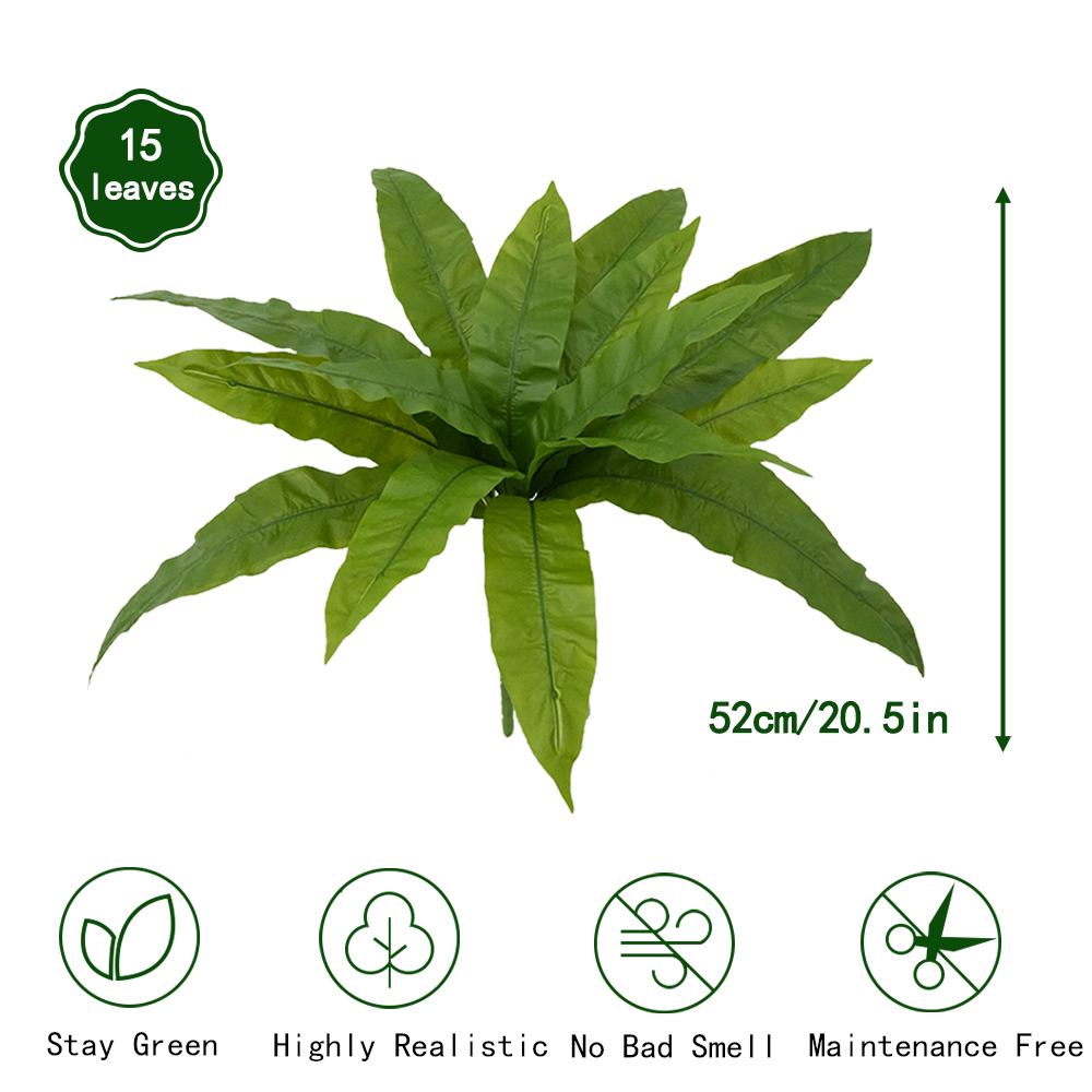 Tropical false plant