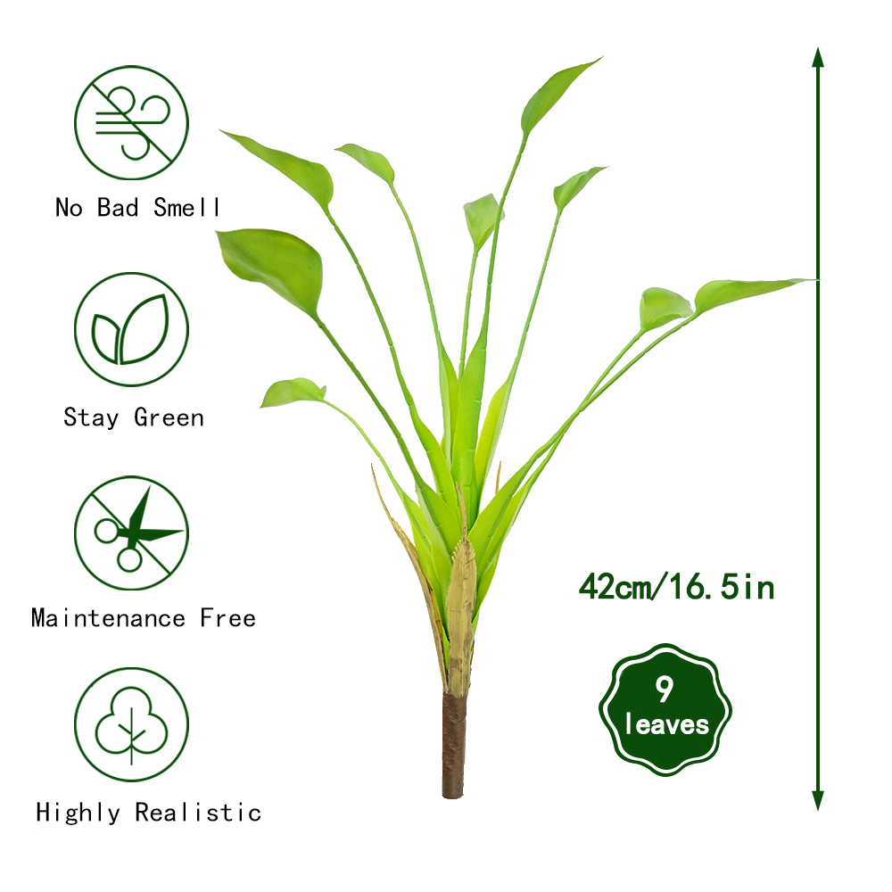 Dripping Guanyin Leaves