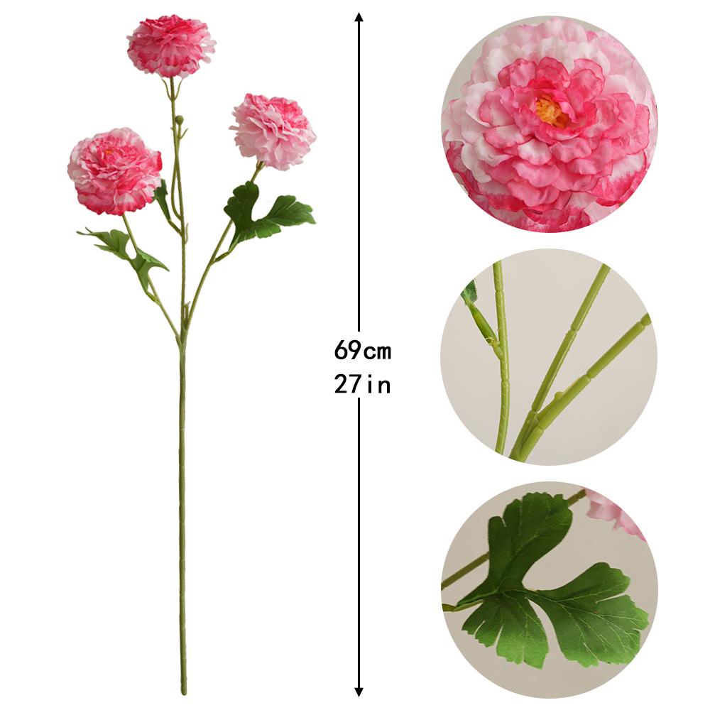 Simulation 3 koi fish