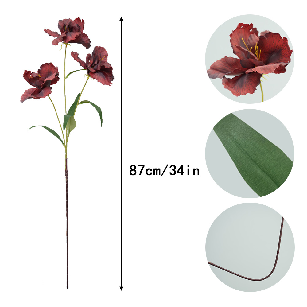 simulation of iris-3 flower