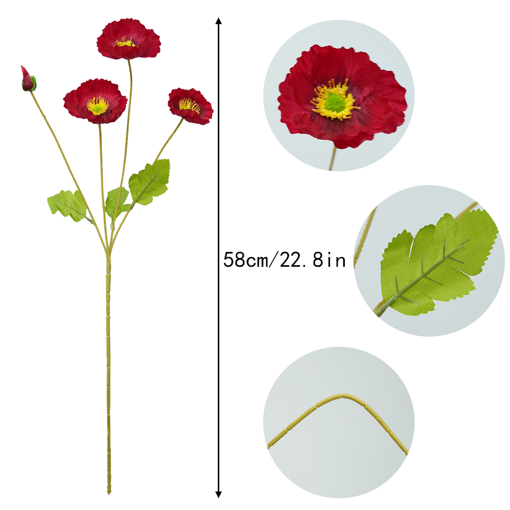 Corn Poppy