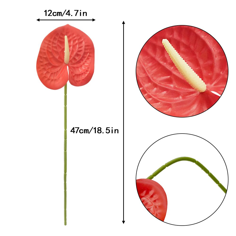 Anthurium Leaves
