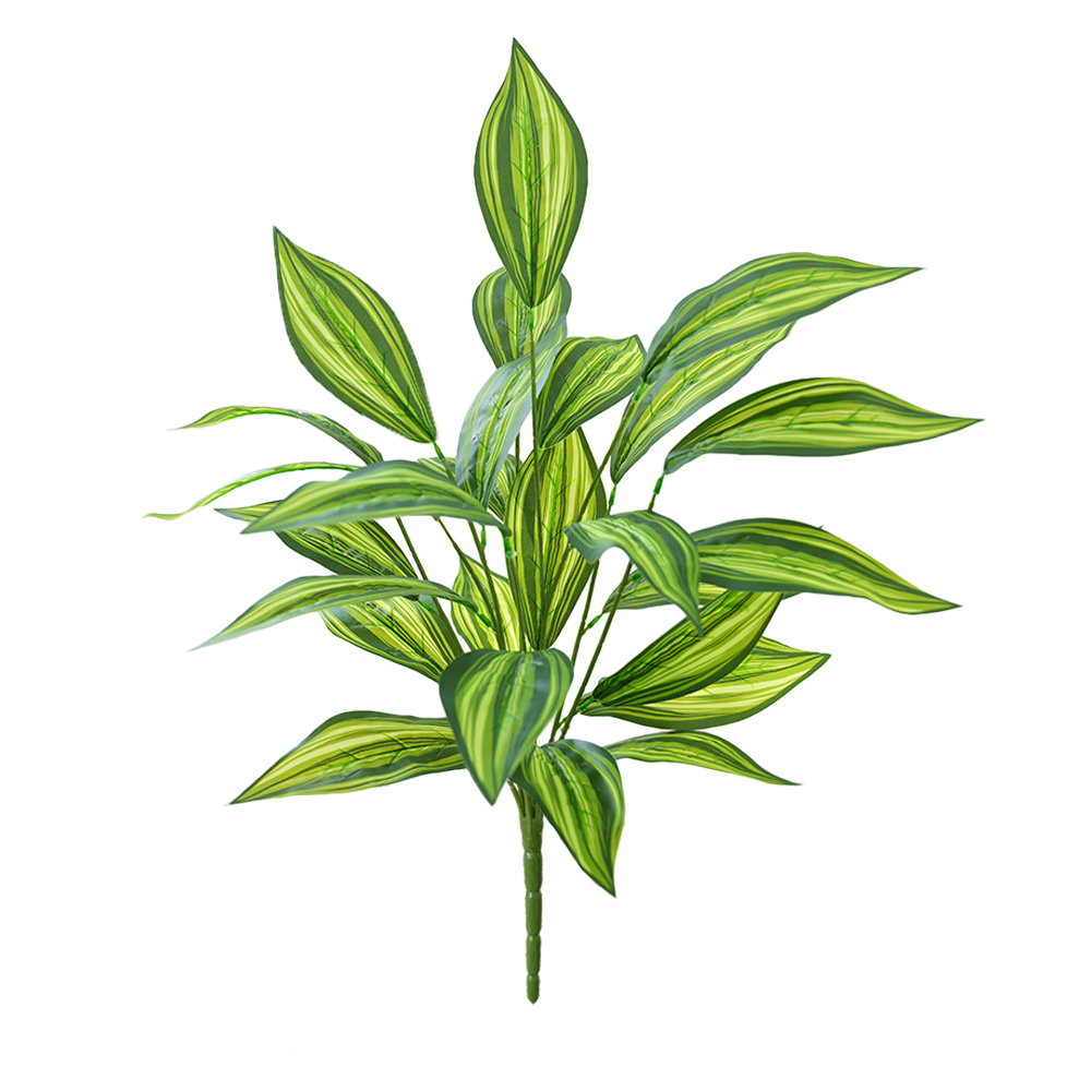 Green plant Brazilian taro leaves