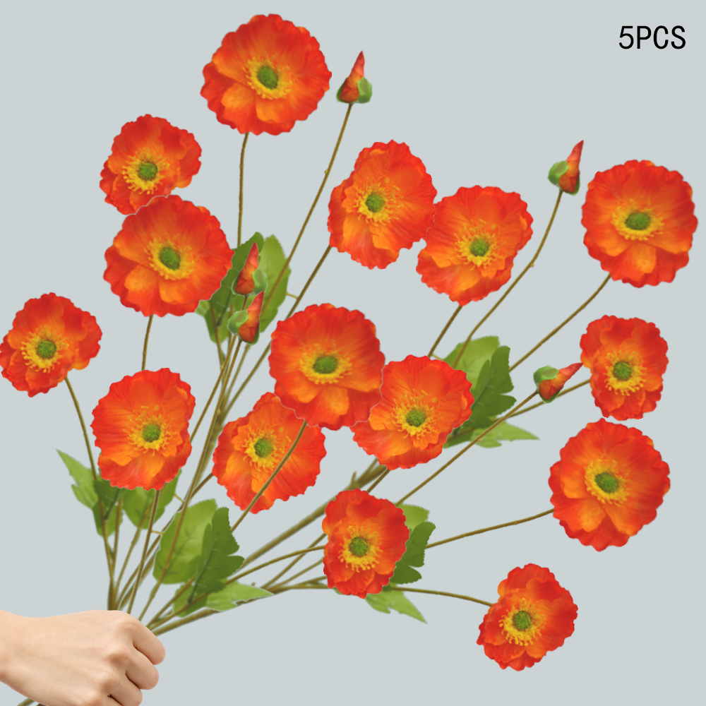 Corn Poppy