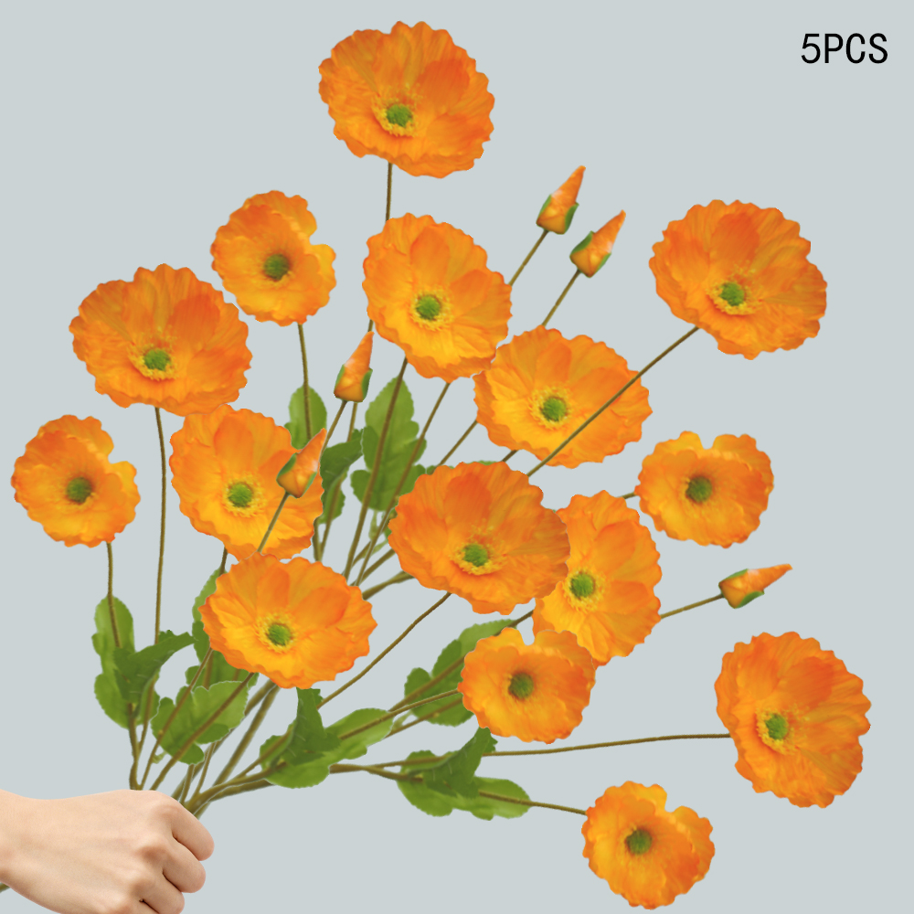 Corn Poppy