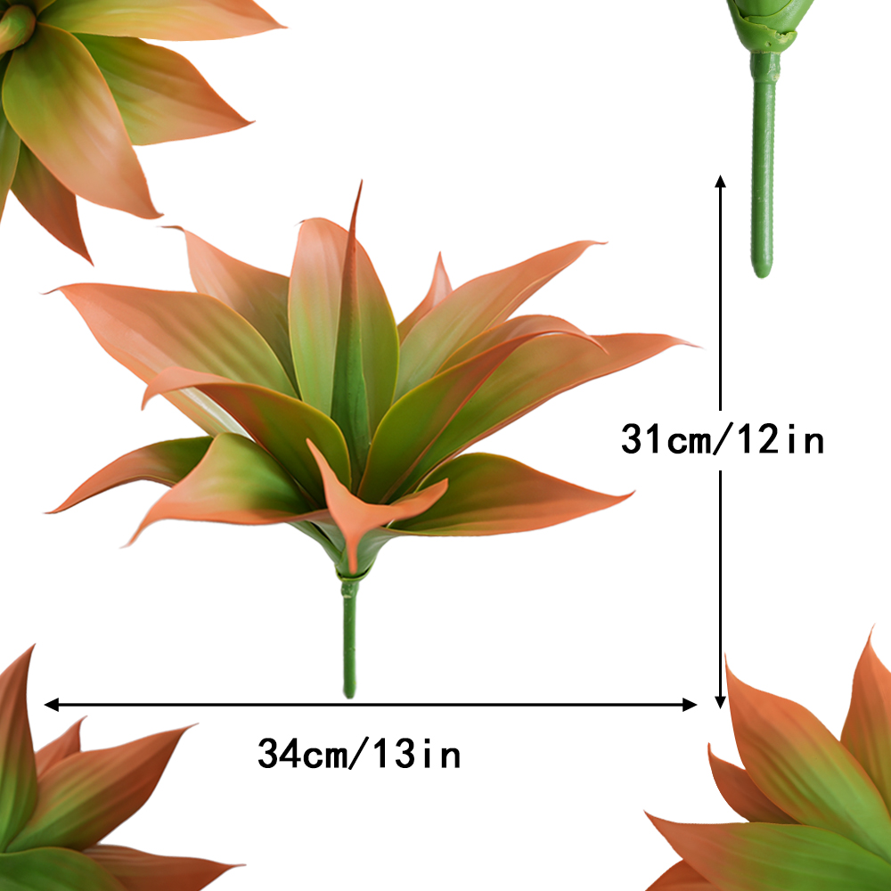agave plants