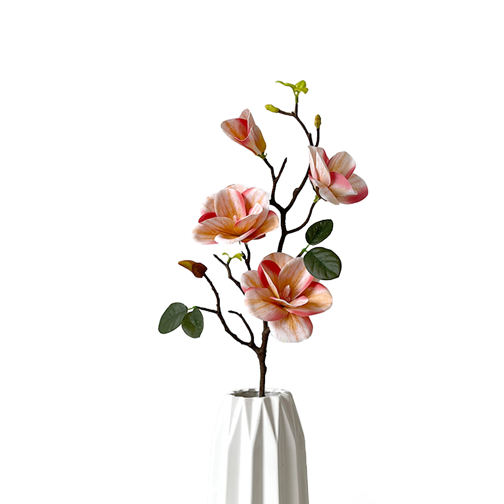 Simulation 4 Magnolia