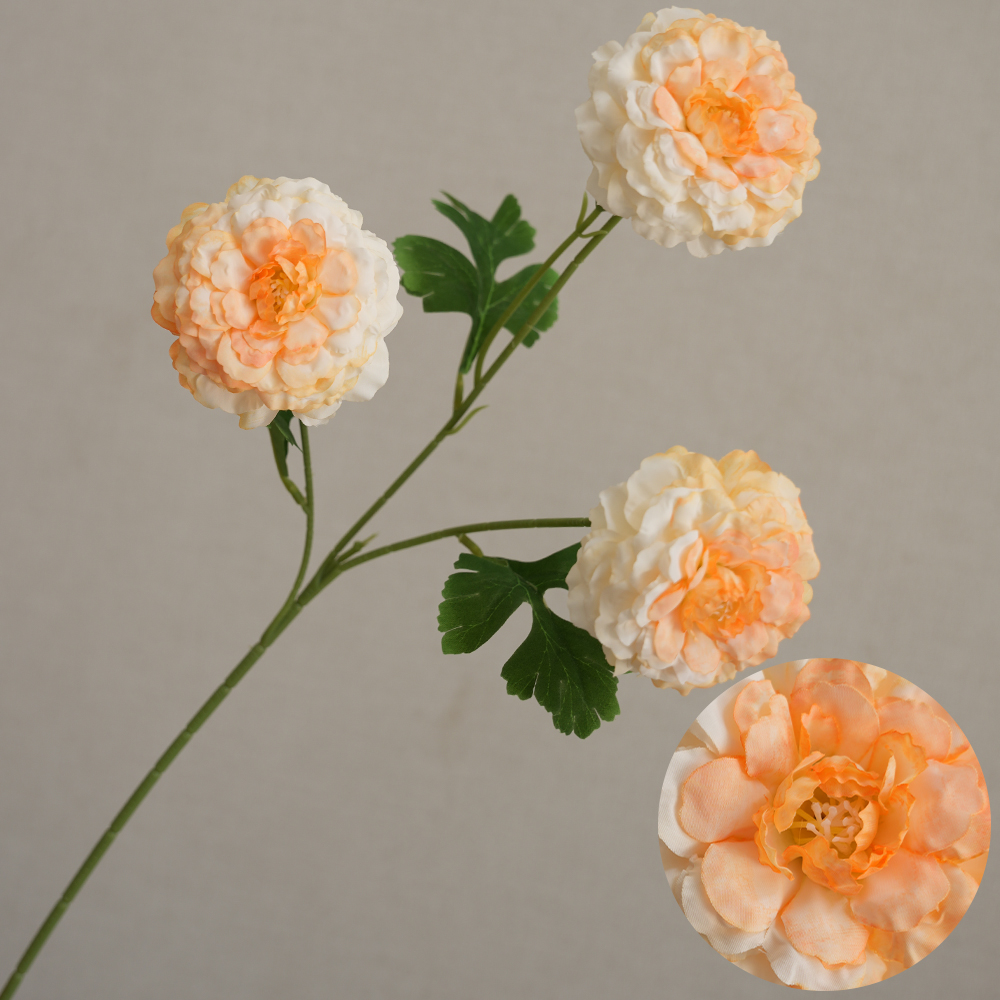 Simulation 3 koi fish