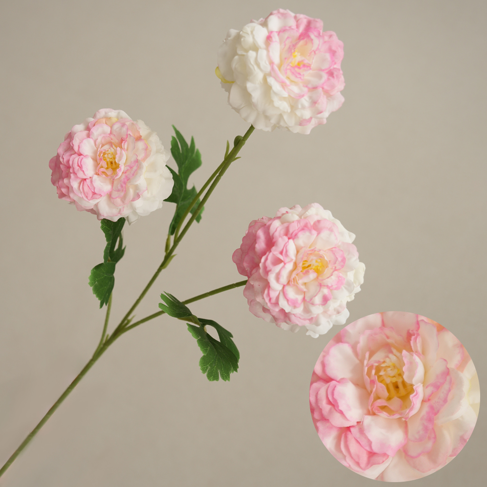 Simulation 3 koi fish