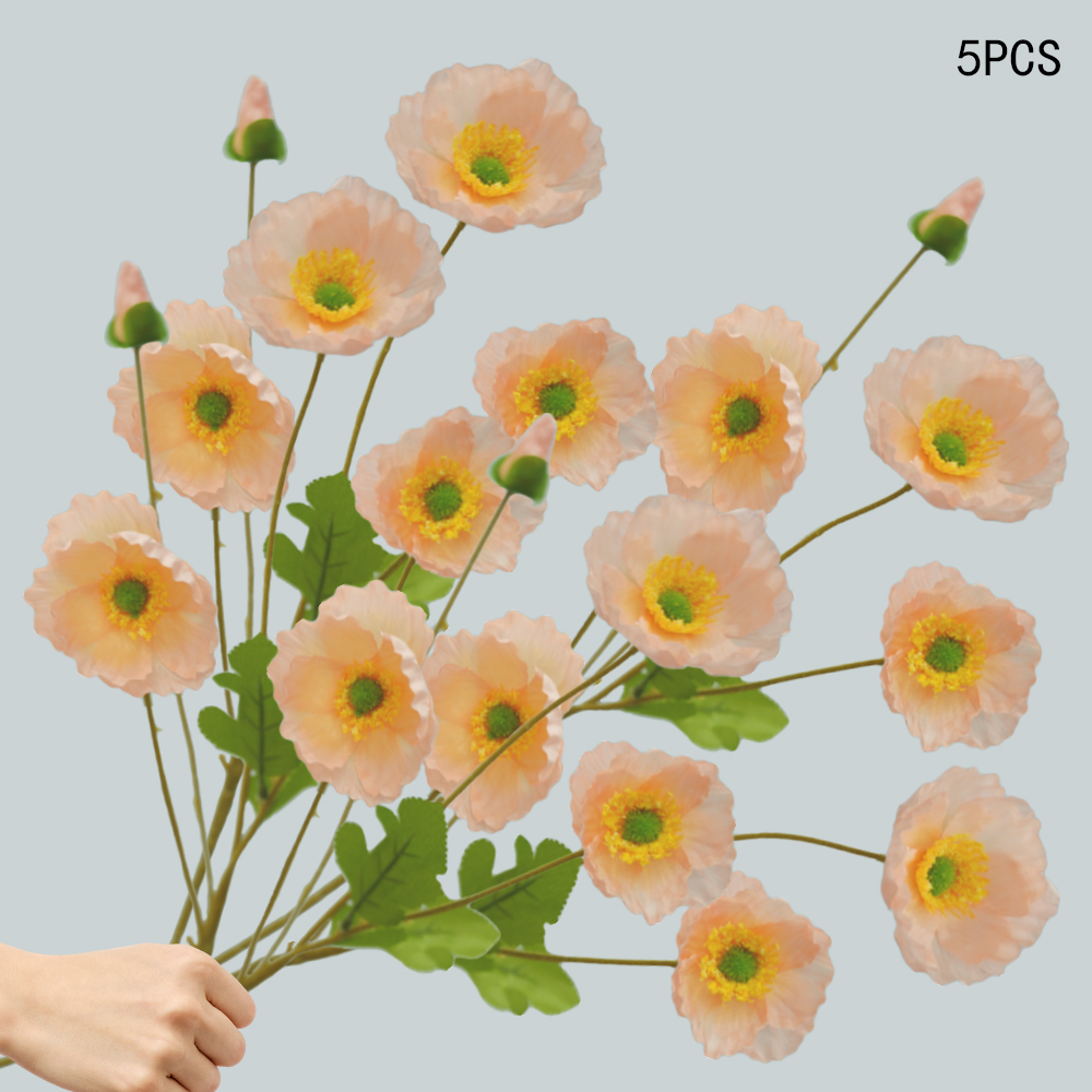 Corn Poppy