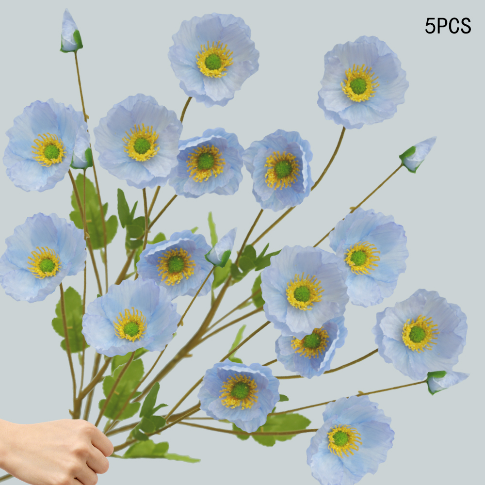 Corn Poppy