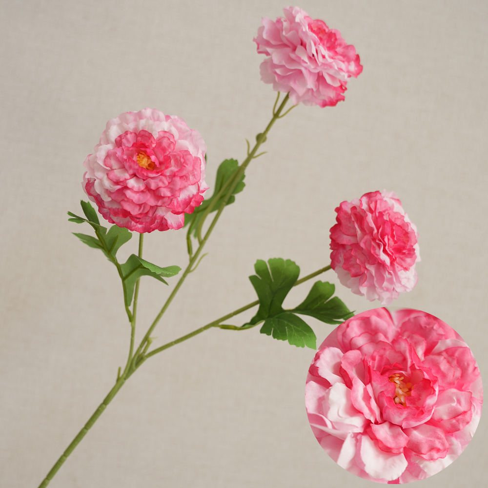 Simulation 3 koi fish