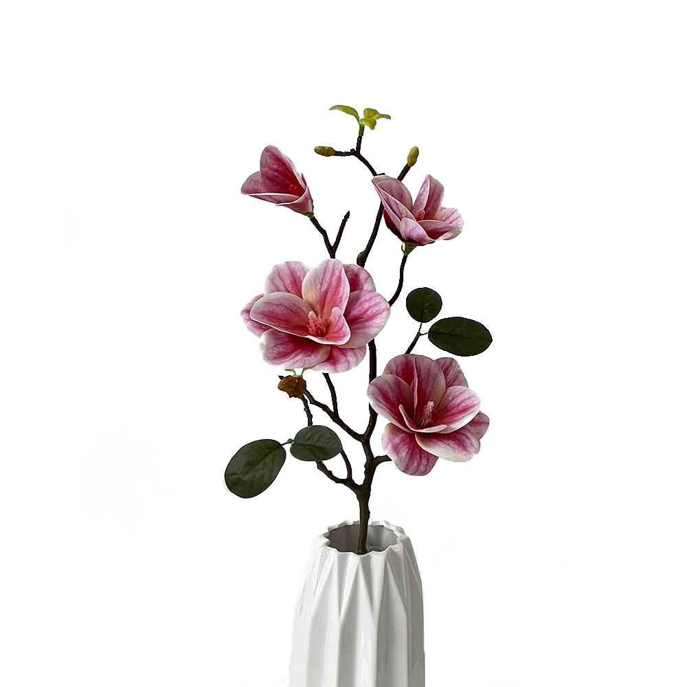 Simulation 4 Magnolia