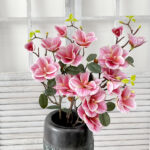 Simulation 4 Magnolia