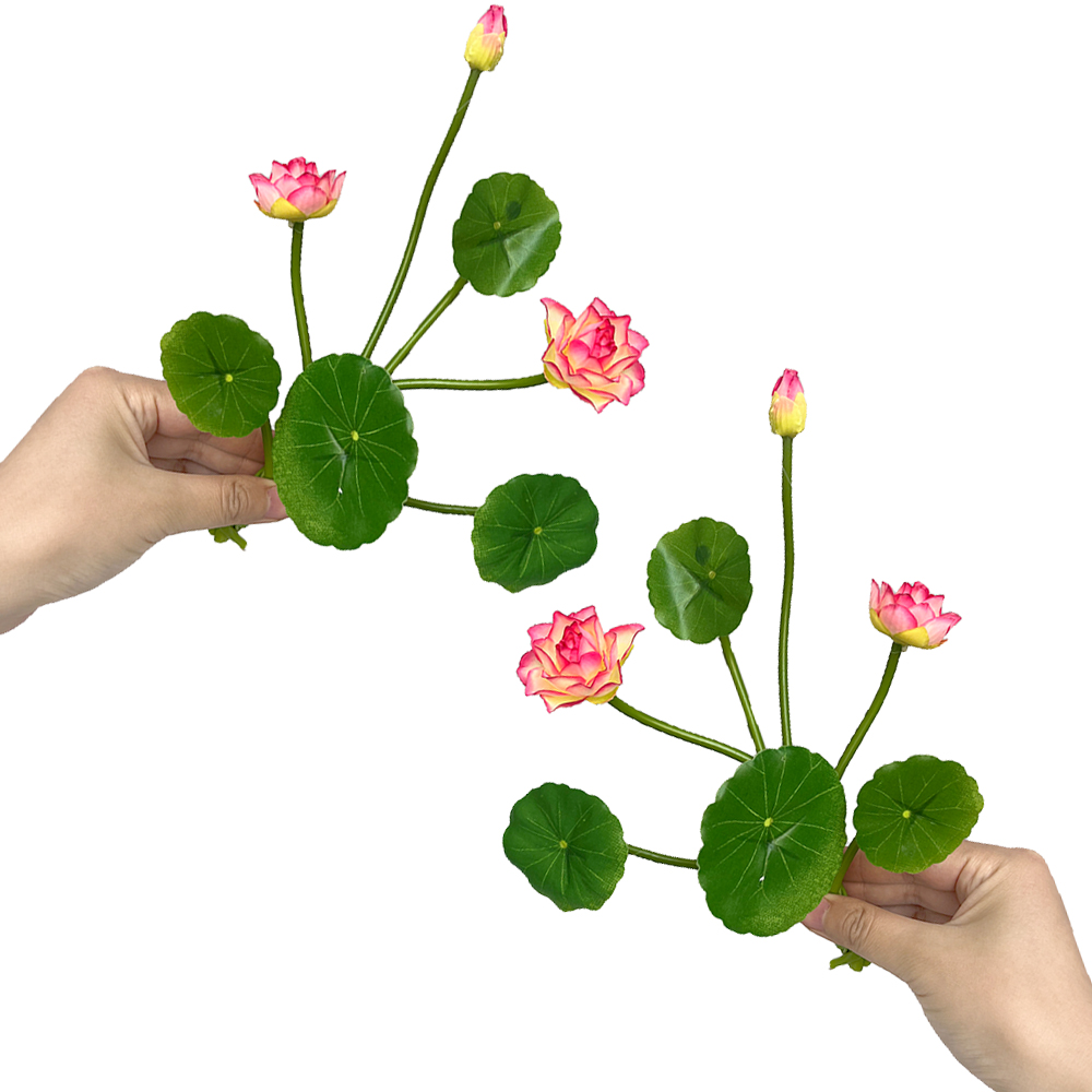 Simulation Small Lotus