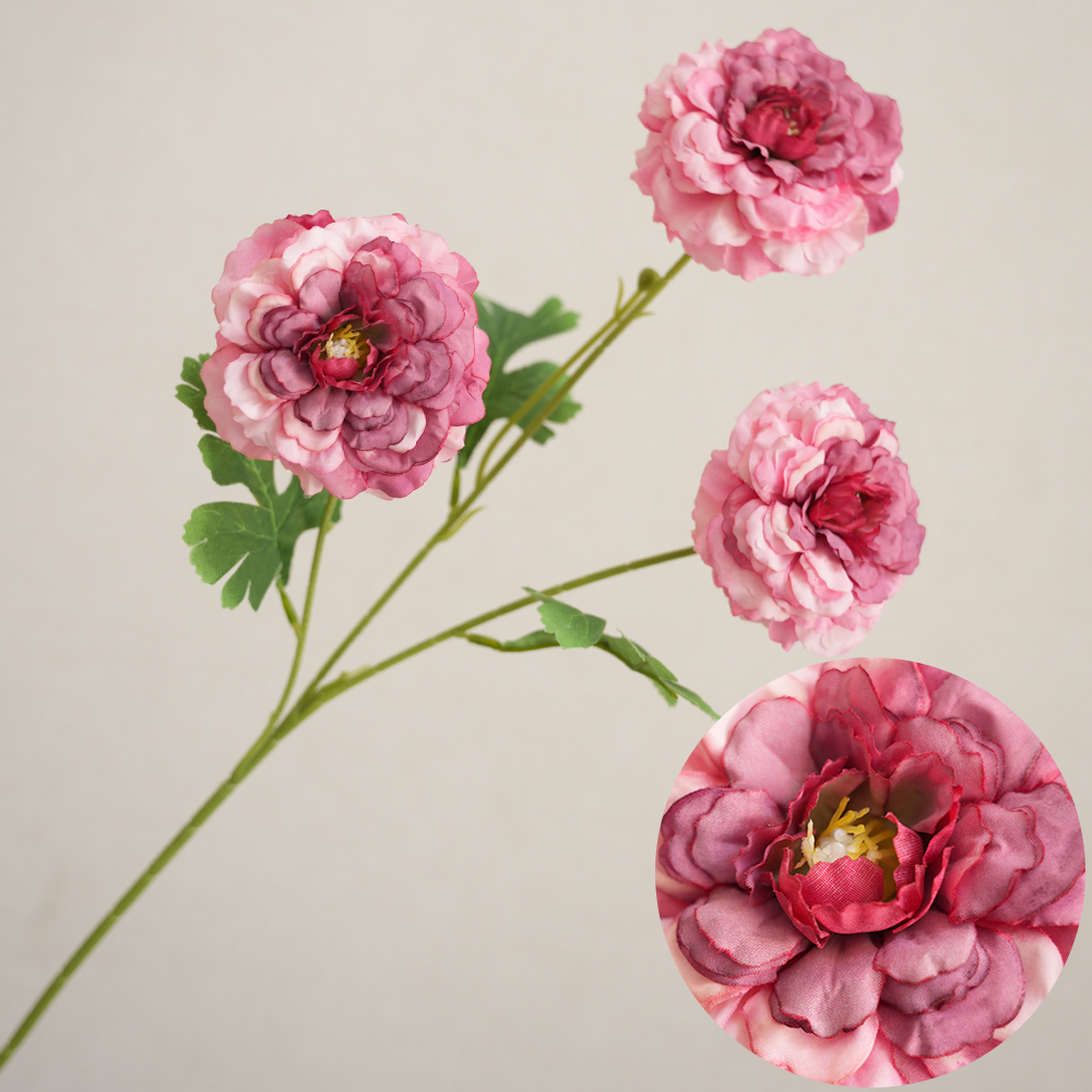 Simulation 3 koi fish