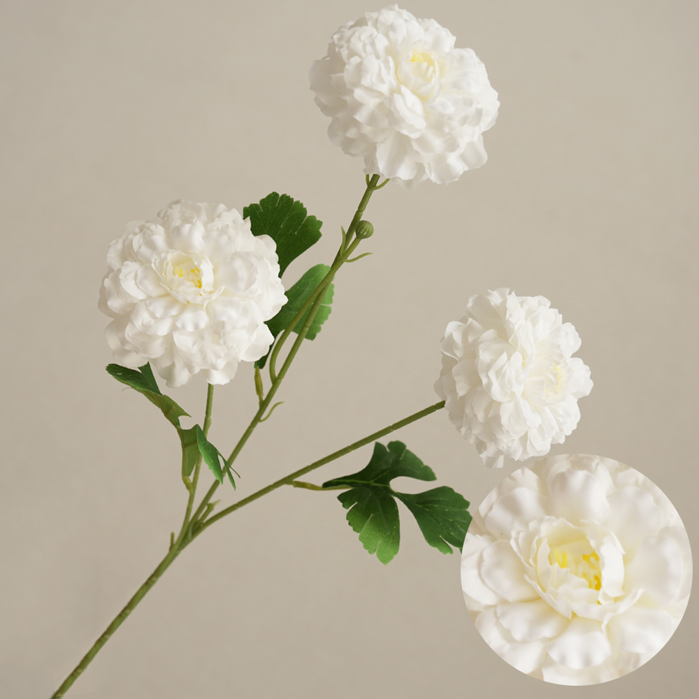 Simulation 3 koi fish