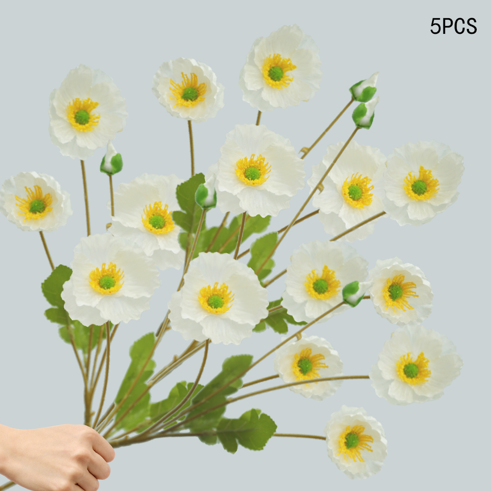 Corn Poppy