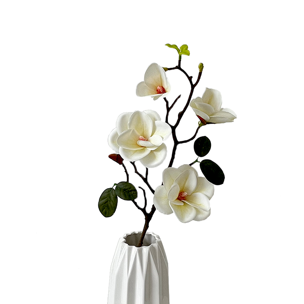 Simulation 4 Magnolia