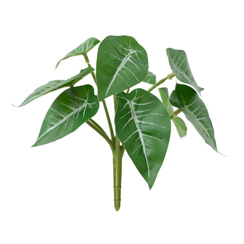 Small Taro Simulation