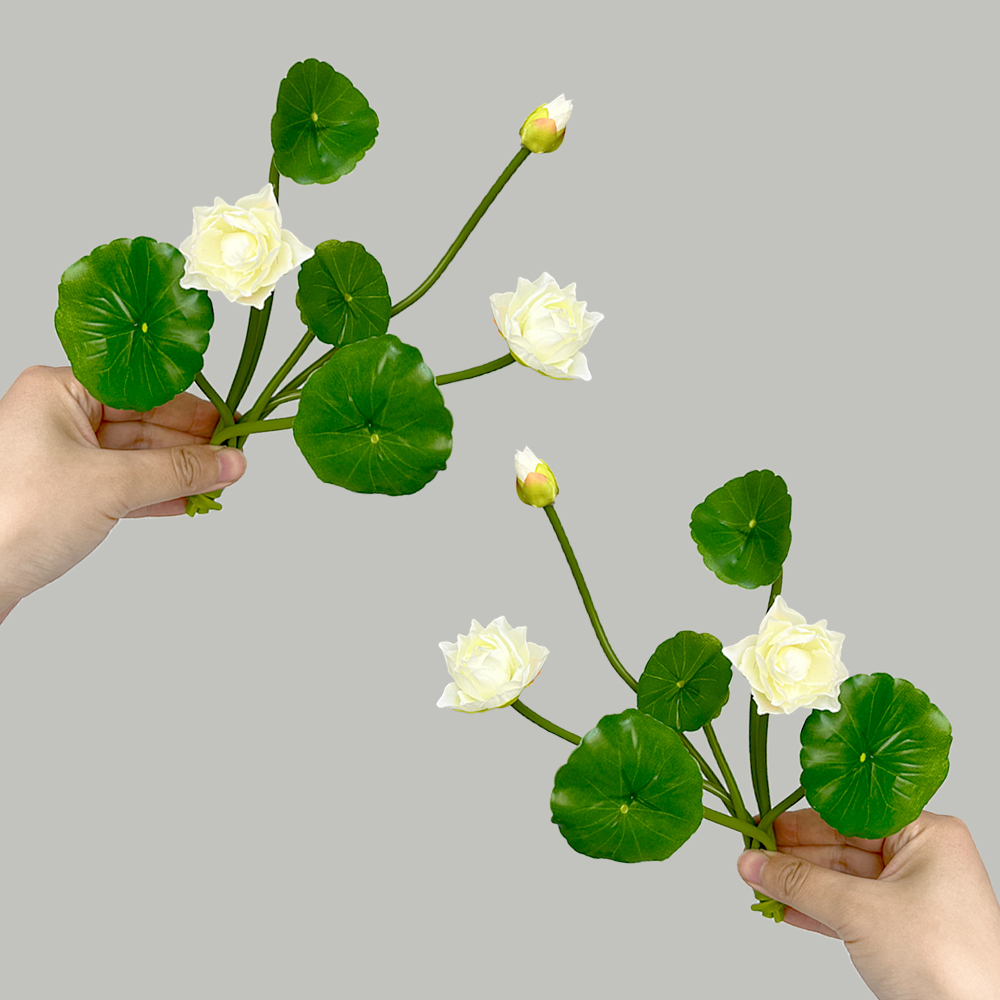 Simulation Small Lotus