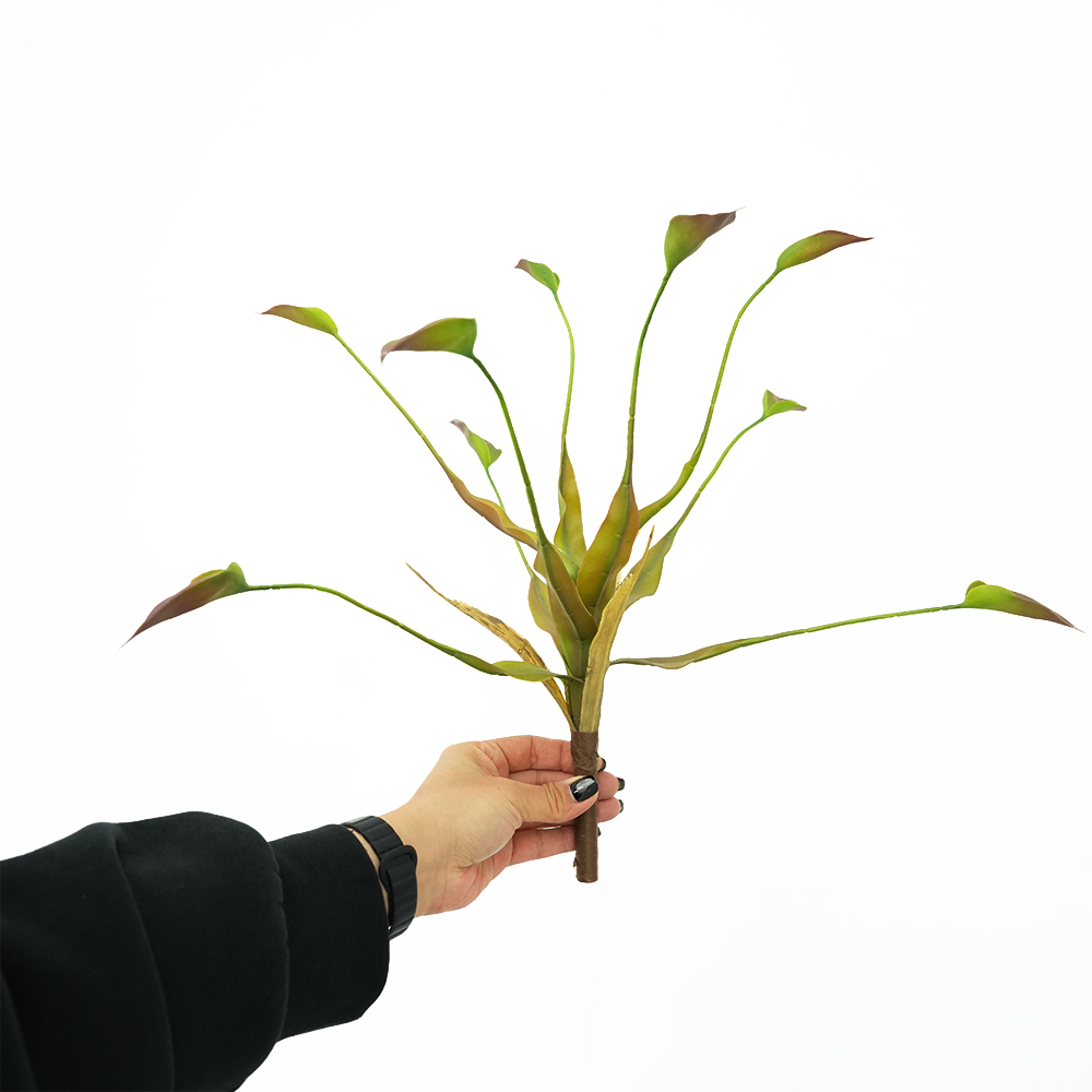 Dripping Guanyin Leaves