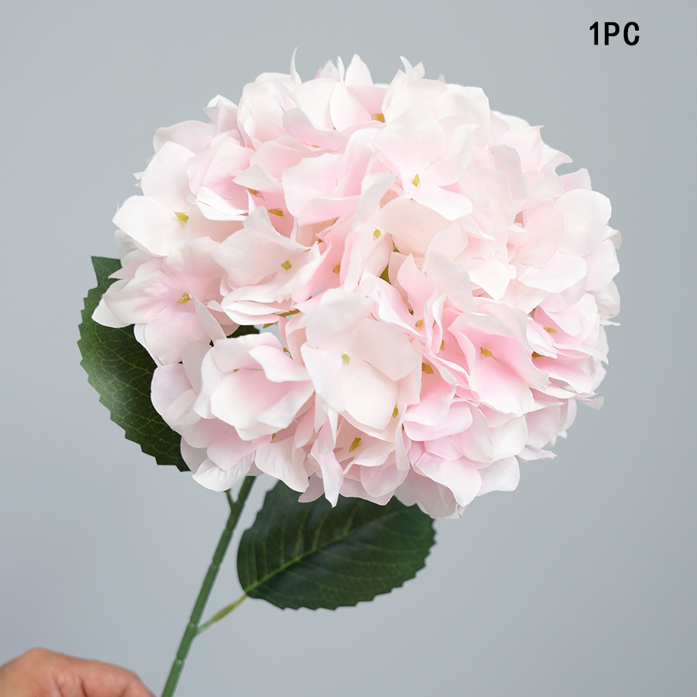 Simulation Anna hydrangea