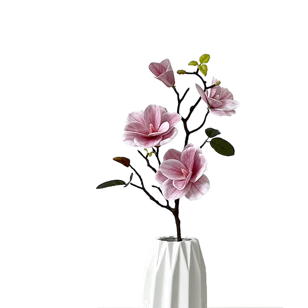 Simulation 4 Magnolia