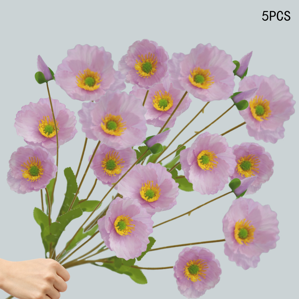 Corn Poppy