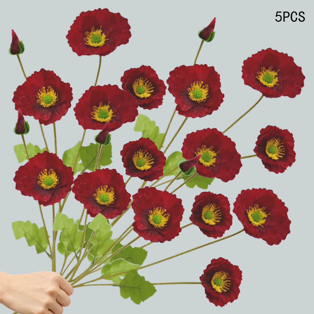 Corn Poppy
