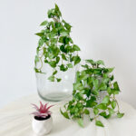 Artificial plant hanging green