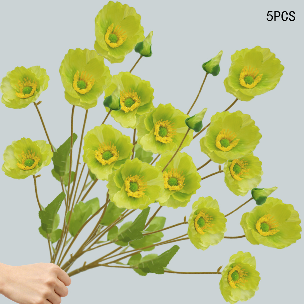 Corn Poppy