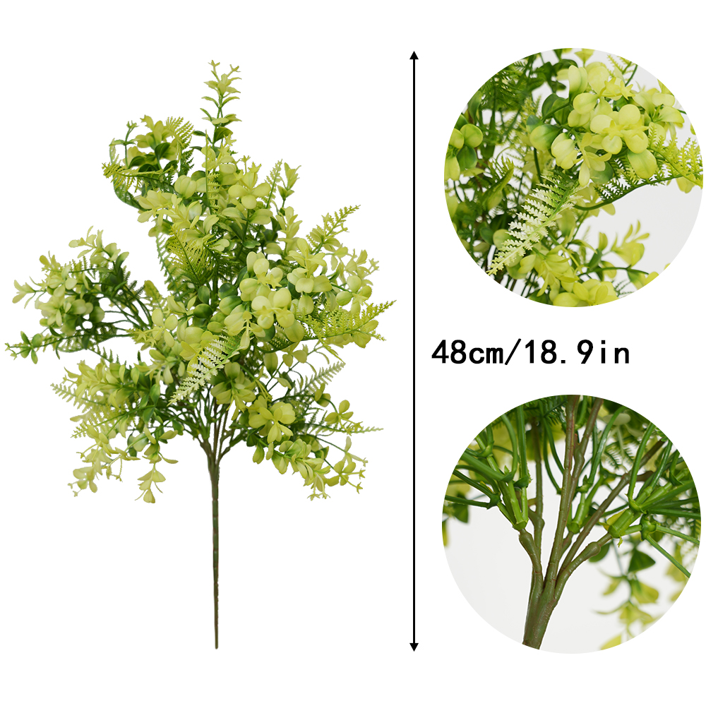 succulent plant Eucalyptus