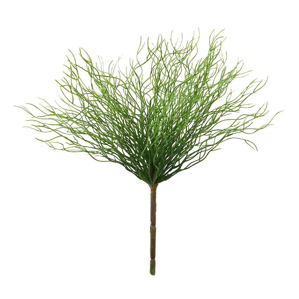 Eulaliopsis binata simulated green plant