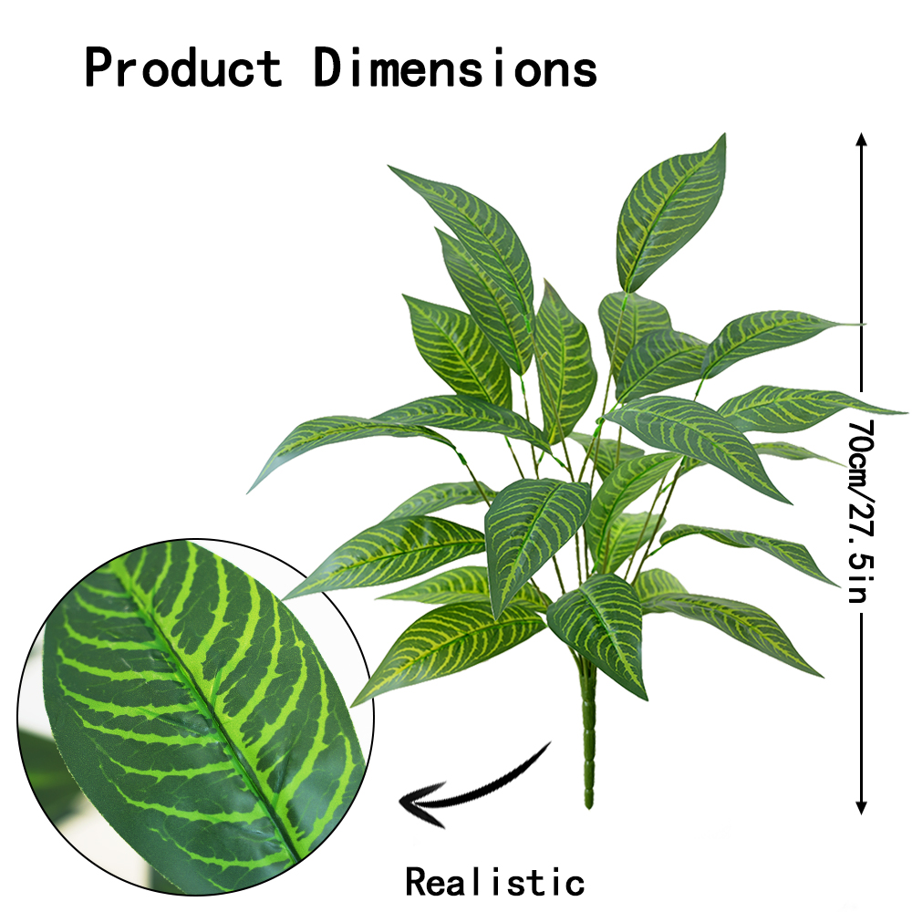 Green plant Brazilian taro leaves