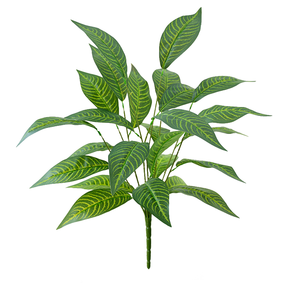 Green plant Brazilian taro leaves