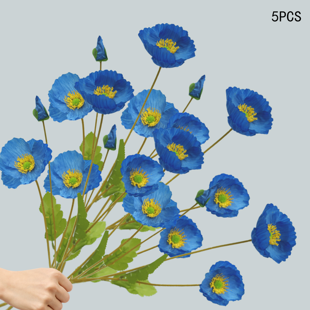 Corn Poppy