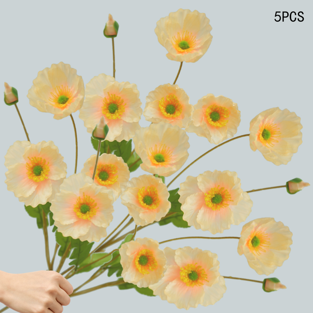Corn Poppy