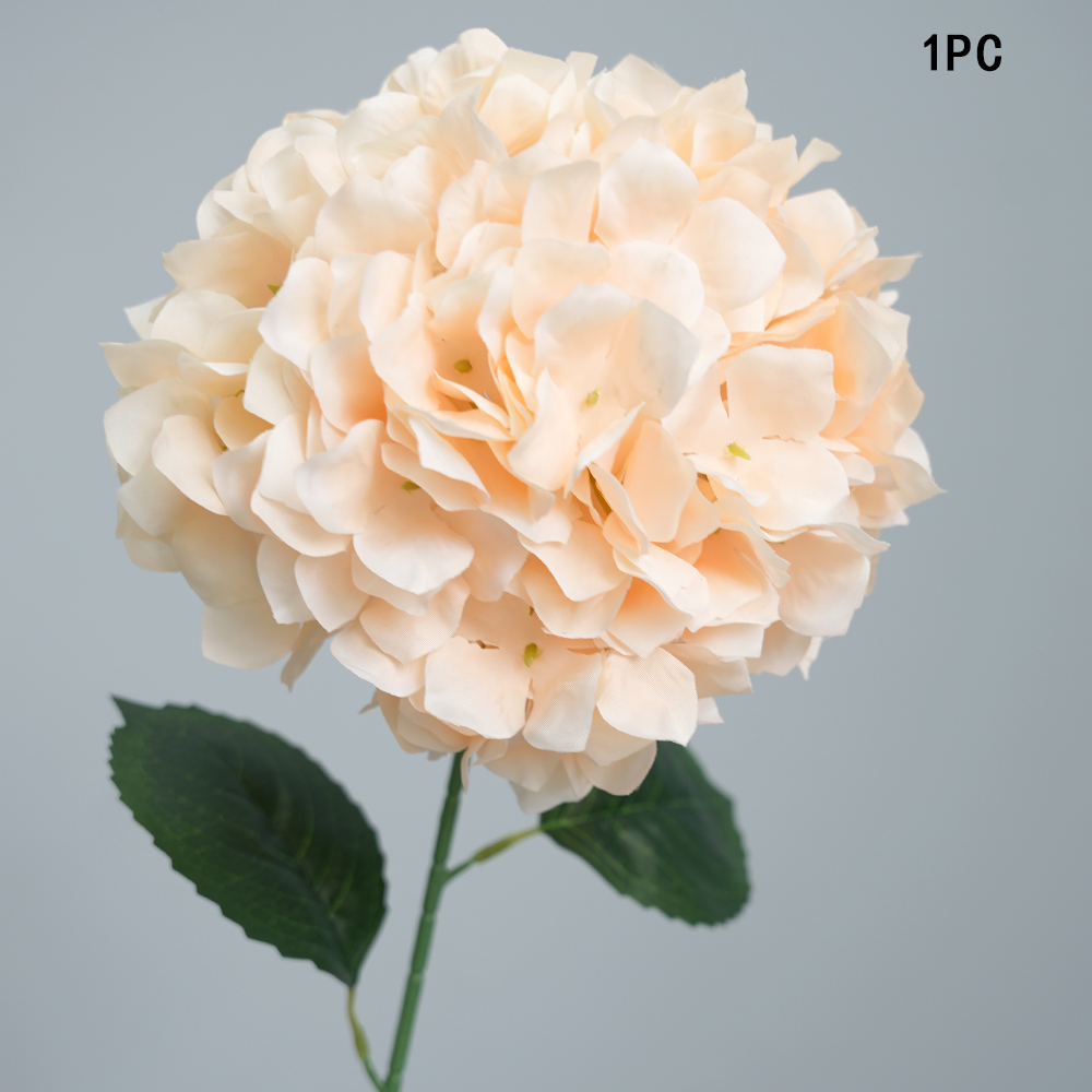 Simulation Anna hydrangea