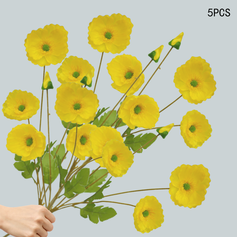 Corn Poppy