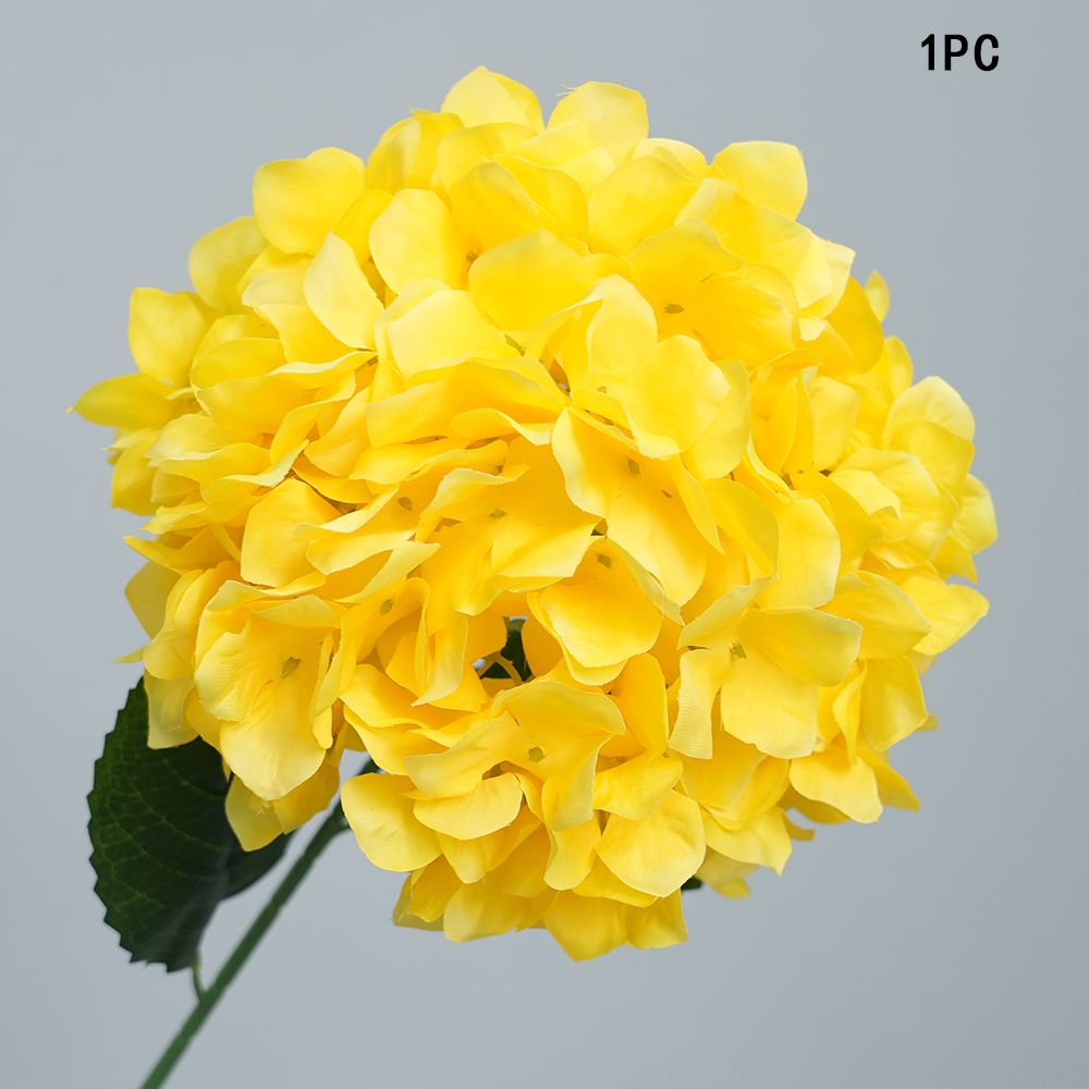 Simulation Anna hydrangea