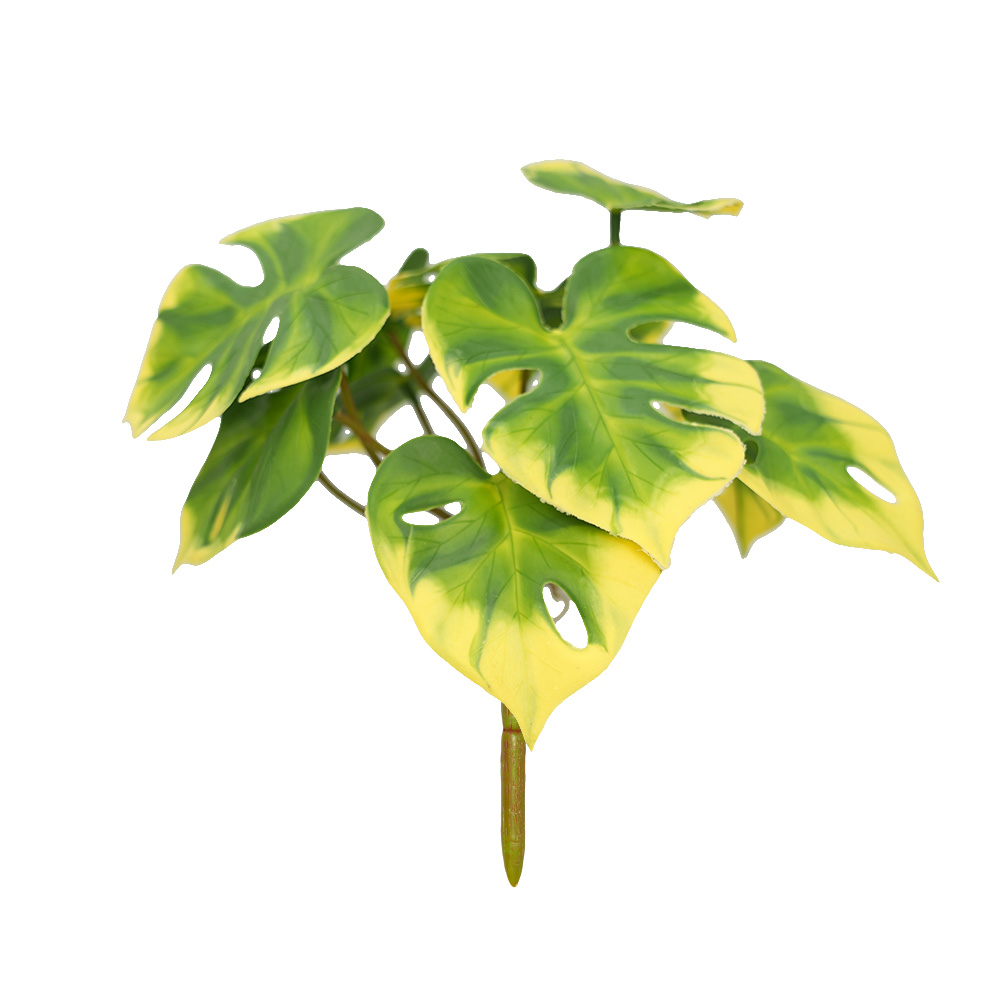 Simulation Turtle Back Leaf