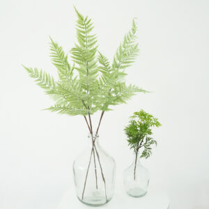 Simulated Ferns