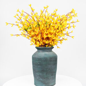 Simulation Yellow Winter Jasmine
