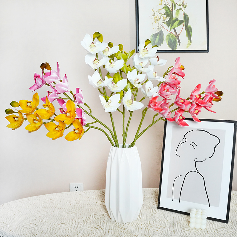 1 Simulation Cymbidium