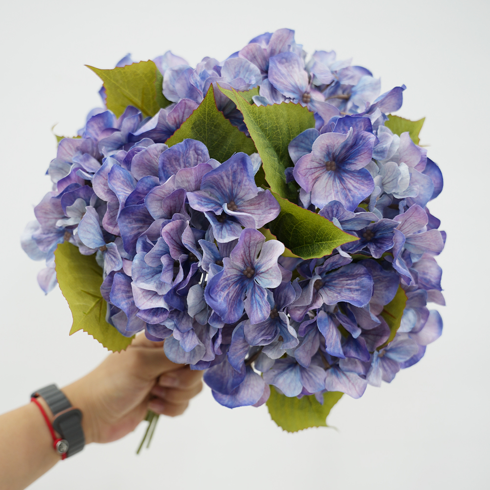 hydrangea oil painting