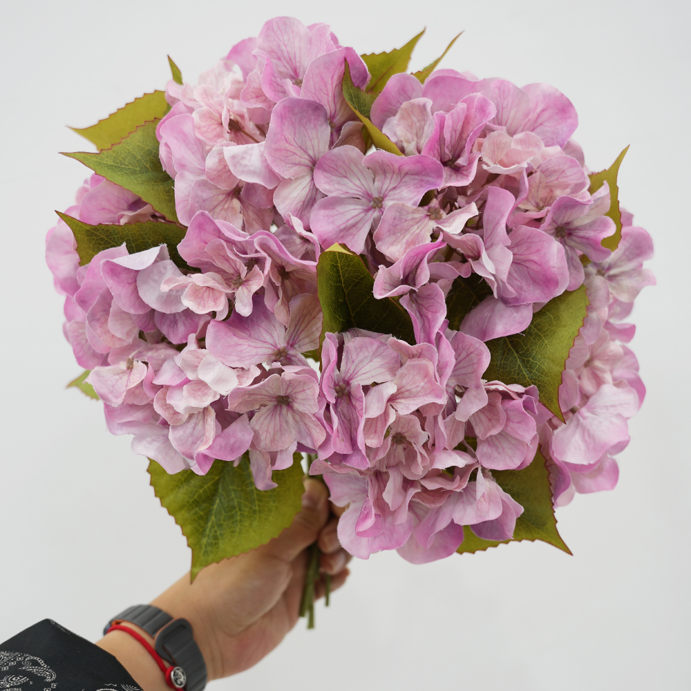 hydrangea oil painting