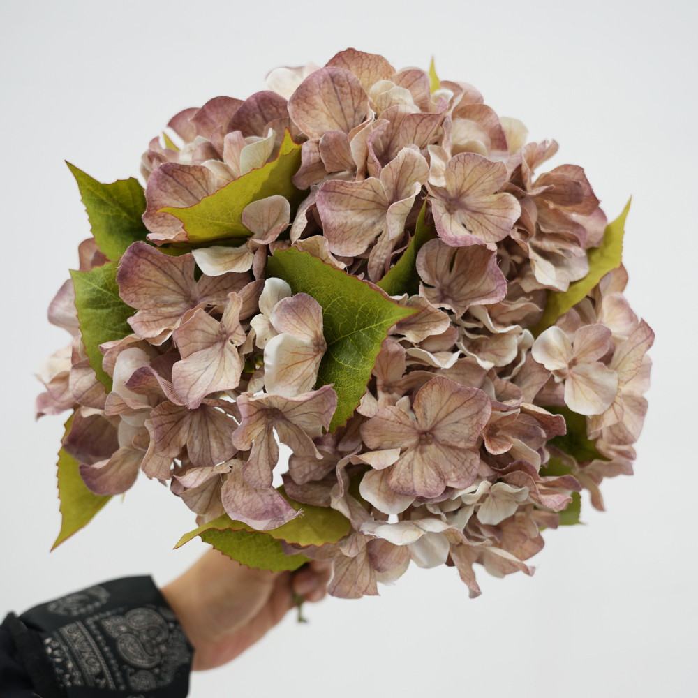 hydrangea oil painting