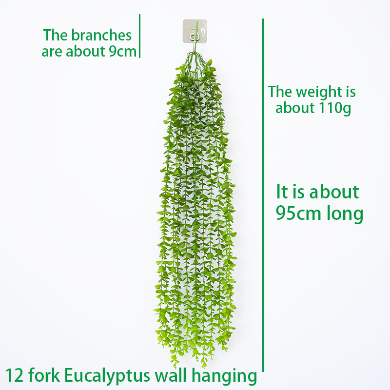 12 Fork Eucalyptus